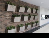 The Canteen